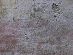 Ancient Roman Graffiti