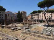 Ancient Roman Senate House Foundation and Layout